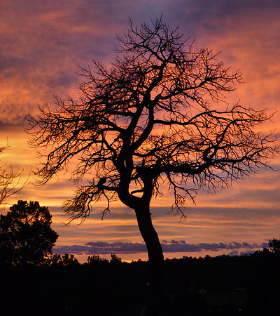 Sunset Grand Canyon South Rim