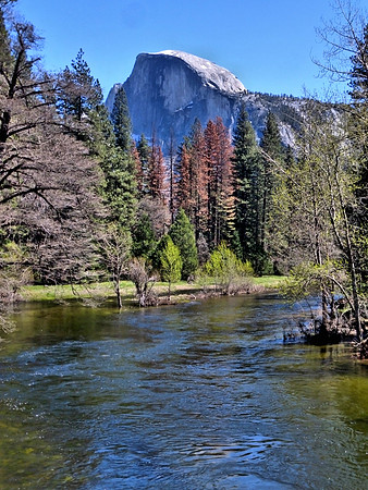 Half Dome P1050661