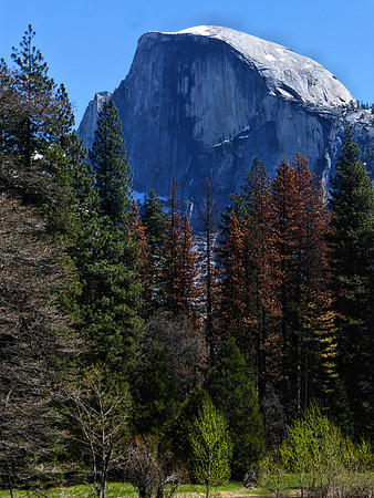 Half Dome P1050657