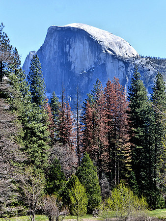 Half Dome P1050654