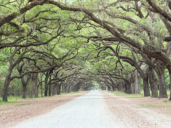 IMG_7265