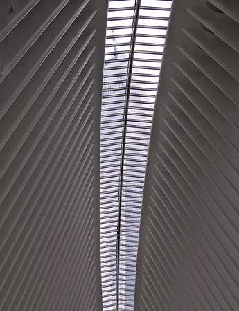 WTC thru skylight P1020315