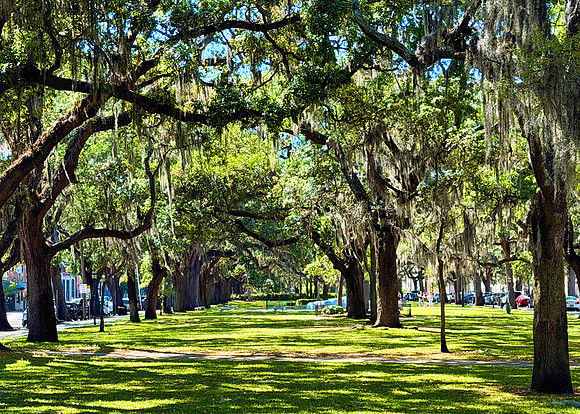 1 Emmet Park IMG_7327A