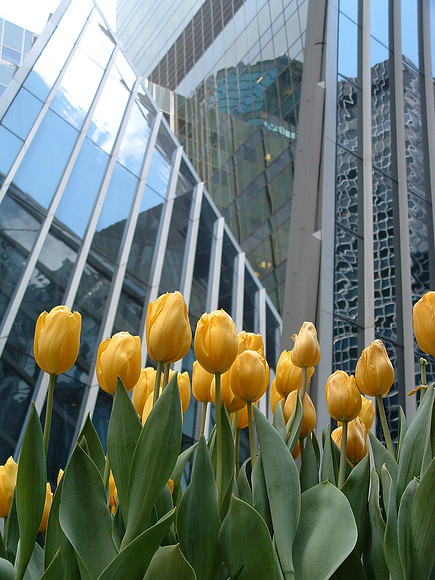 D E 42nd Street  DSCF0059a