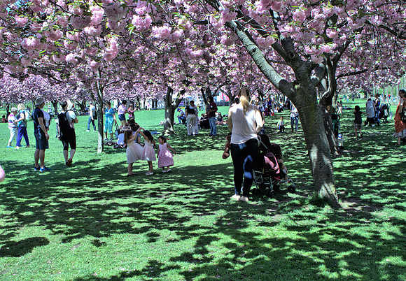 Dancing Girls 1 IMG_1015 -1