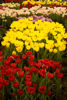 Philadelphia Flower Show 2016