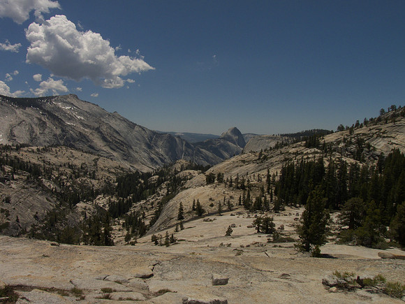 Half Dome 1 717 (Olmst Pt)