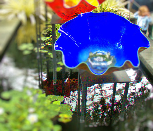 0 Deep BlueP1020518 -1