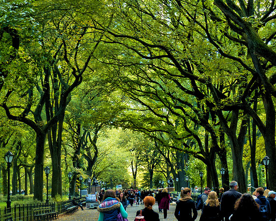 2 Literary walk P1020176B