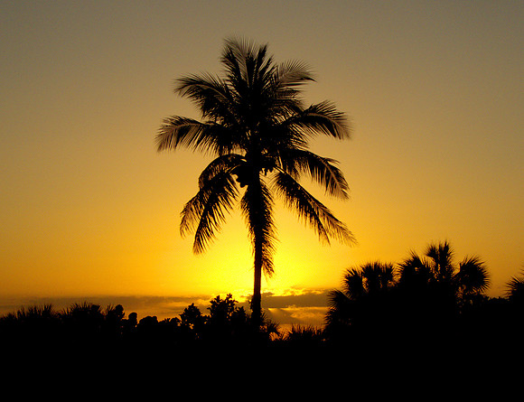 4c Sunset Marco Island P1030557 -1