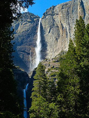 Yosemite Falls P1010071A