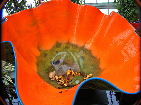 4 Orange P1020522 -1