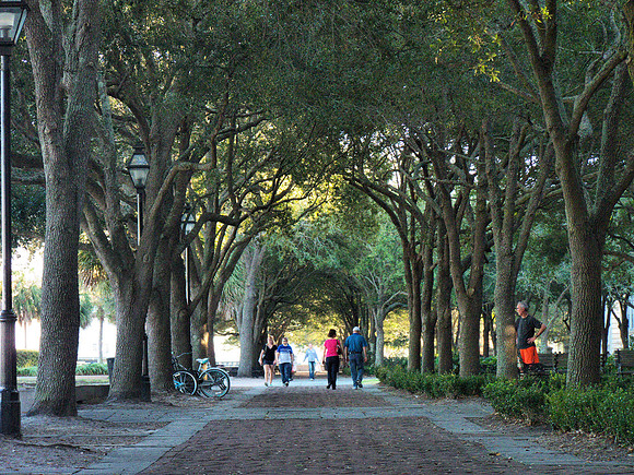2 T14 Charleston Waterfront Park  P1060310A