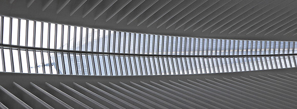 WTC thru skylight P1020314