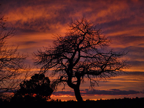 Sunset Grand Canyon South Rim