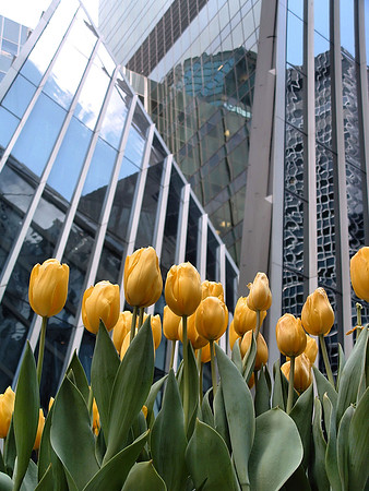 2005-05-03 14.15.00