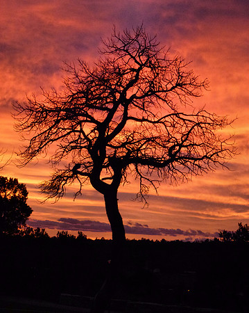 Sunset Grand Canyon South Rim