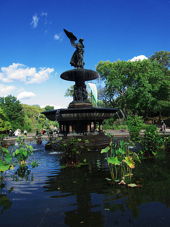 Bethesda Fountain     50122