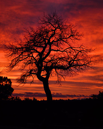 Sunset Grand Canyon South Rim