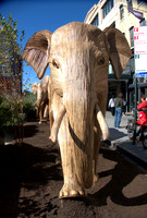 Great Elephant Migration exhibit NYC 2024