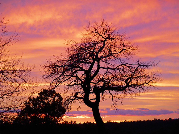 Sunset Grand Canyon South Rim