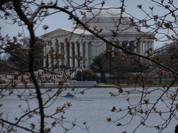 Tidal Basin  1    P1010679