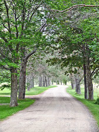 2 The road home - Cape Breton  9  P1020144